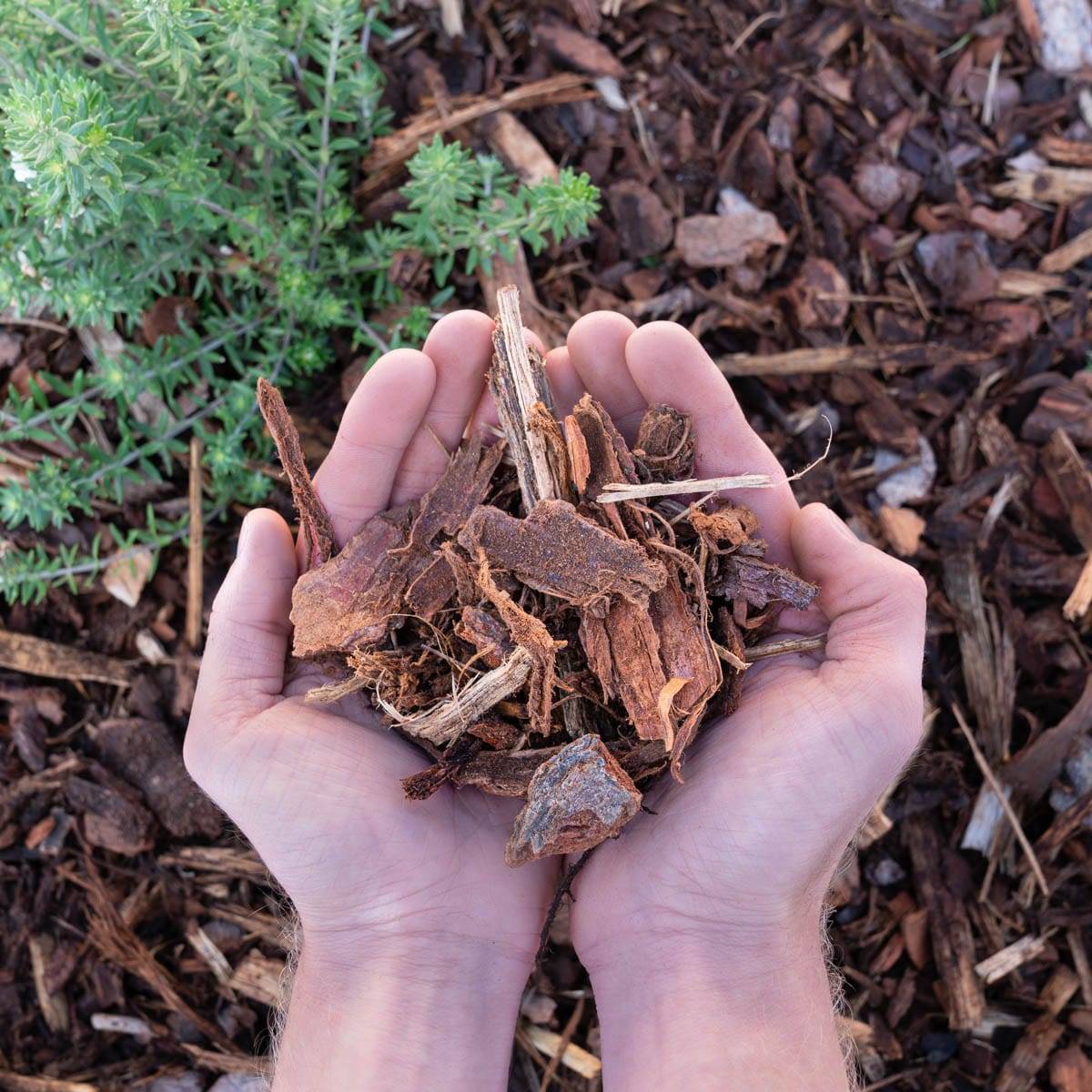 Mulch Delivery Perth • PMB • Perth Materials Blowing