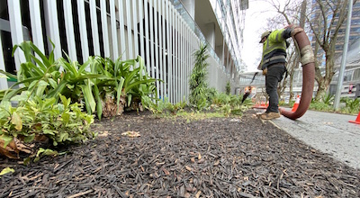 Commercial Property Maintenance at Commercial Office Buildings using Mulch Blower Trucks by PMB Perth Materials Blowing